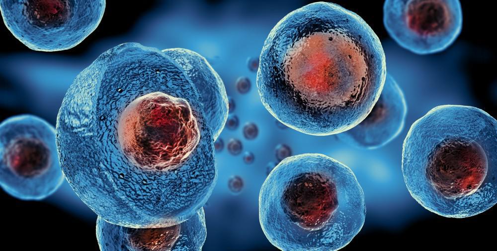 Top 5 Benefits of Regenerative Medicine You Might Not Know About
